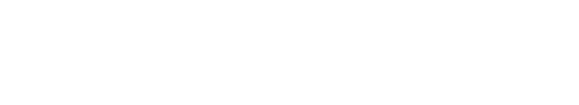 Scale